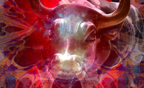 EL TORO / Andreas Streicher / Metamorphosis / 2015
