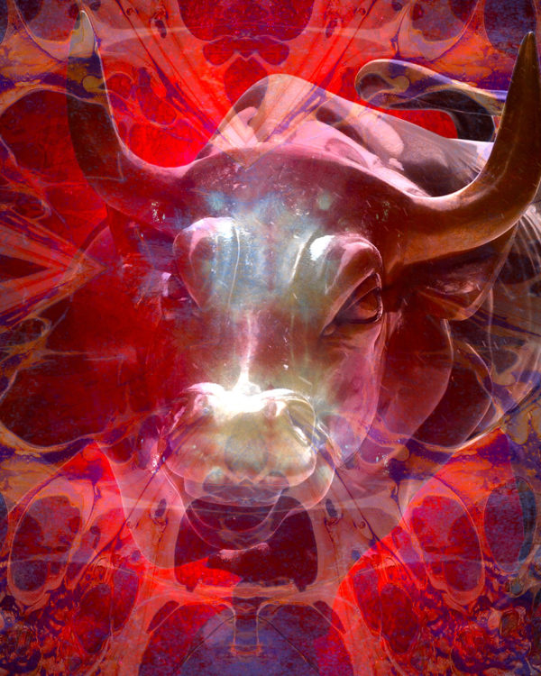 EL TORO / Andreas Streicher / Metamorphosis / 2015