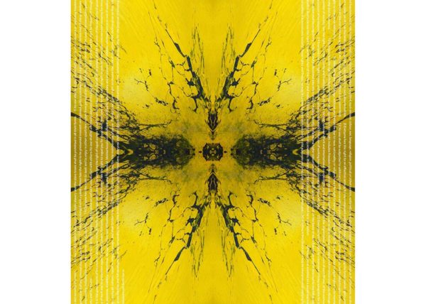 EVERYONE / Andreas Streicher / Metamorphosis / 2012