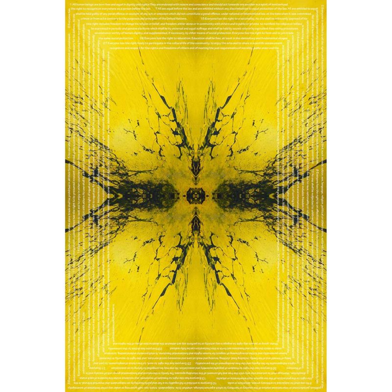 EVERYONE / Andreas Streicher / Metamorphosis / 2012