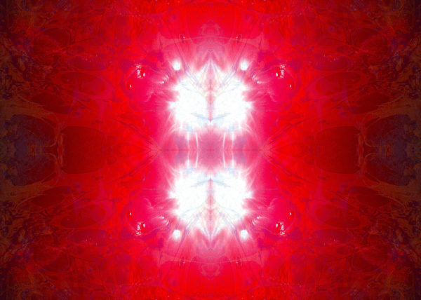 HEARTS / Andreas Streicher / Metamorphosis / 2013