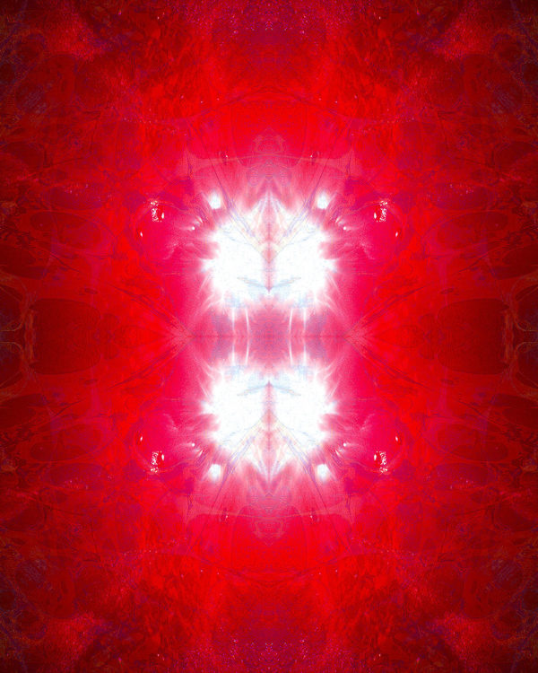 HEARTS / Andreas Streicher / Metamorphosis / 2013