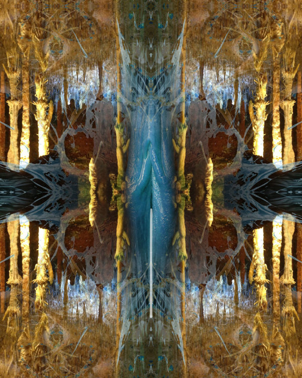 LA-CUEVA / Andreas Streicher / Metamorphosis / 2014