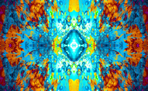 AQUARIUS / Andreas Streicher / Metamorphosis / 2013