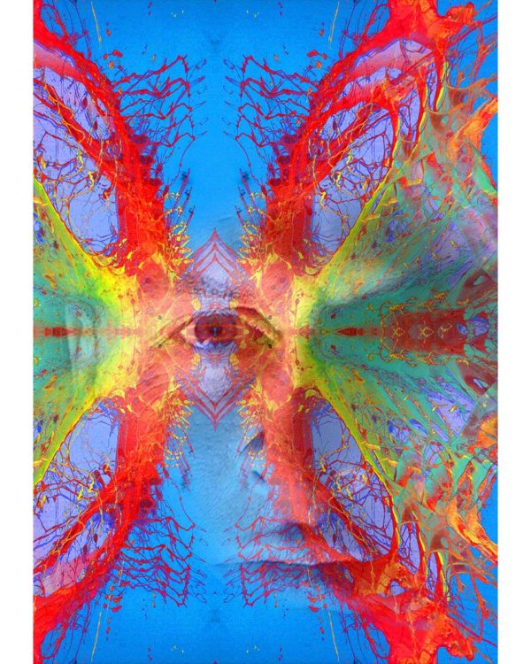 BIG BROTHER / Andreas Streicher / Metamorphosis / 2012