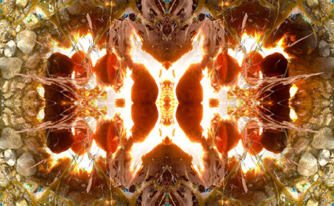 BURNING EARTH / Andreas Streicher / Metamorphosis / 2013