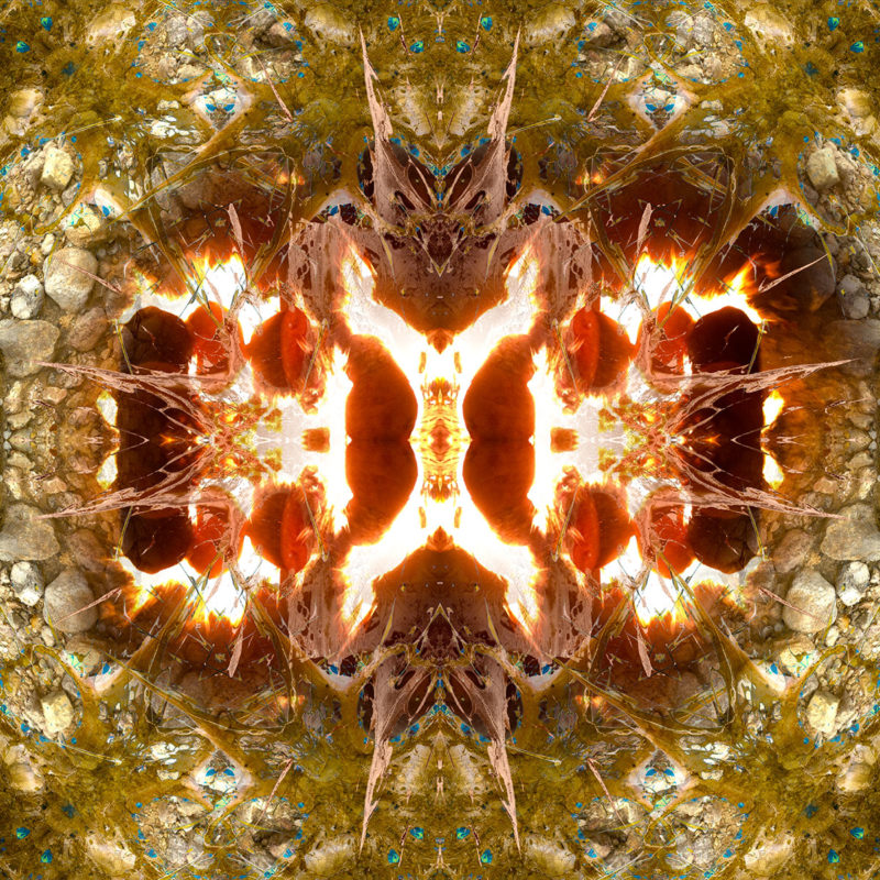 BURNING EARTH / Andreas Streicher / Metamorphosis / 2013