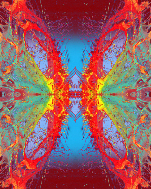 MARIPOSA / Andreas Streicher / Metamorphosis / 2013